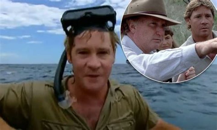 What Were Steve Irwin’s Last Words?